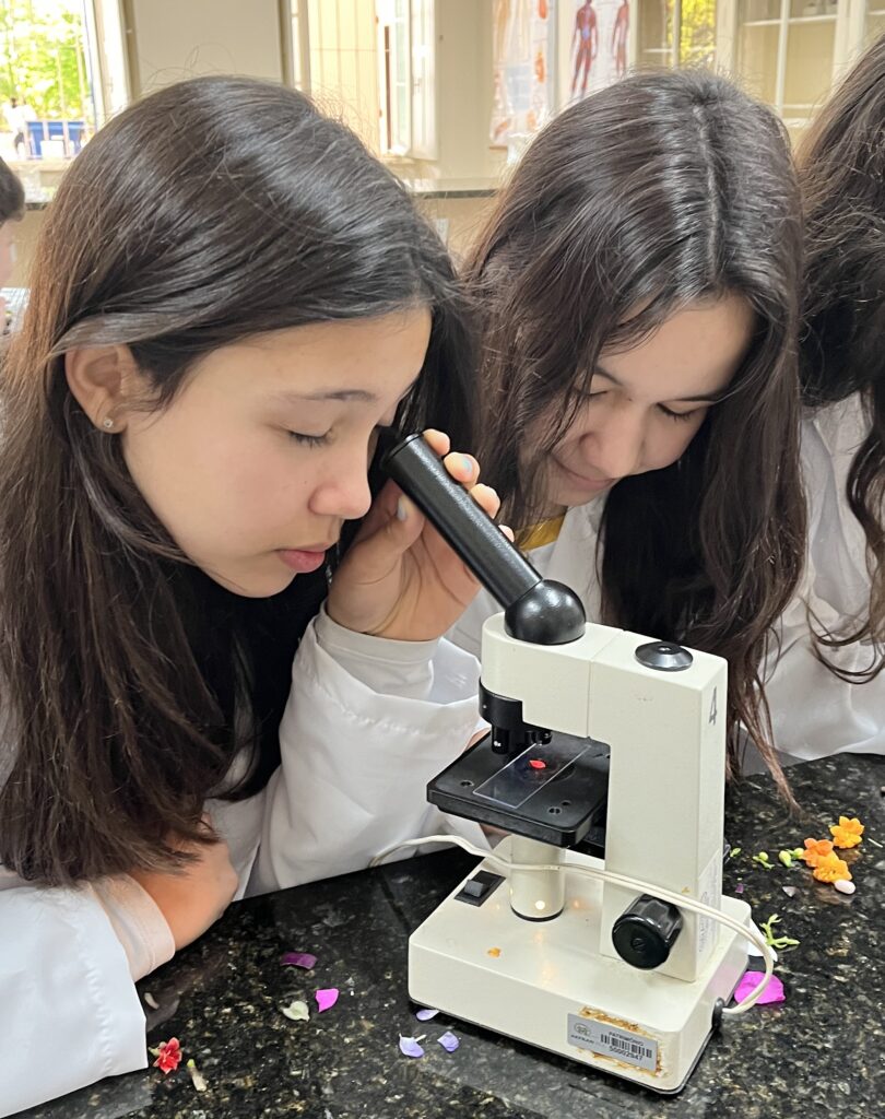 Funcionamento do Microscópio com o 6°ano