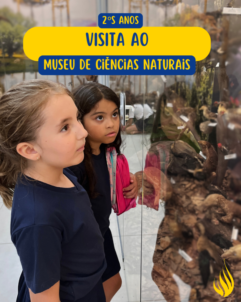 Museu de Ciências – 2°s anos