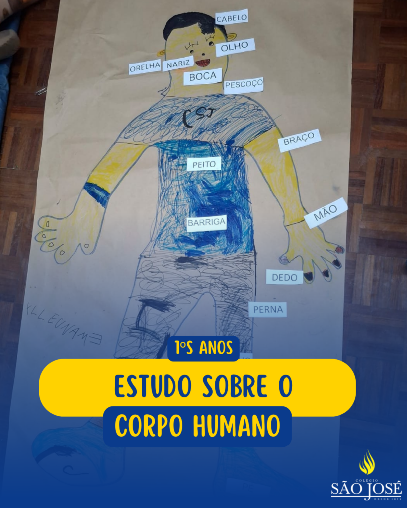 Estudo sobre o corpo humano – 1ºs anos