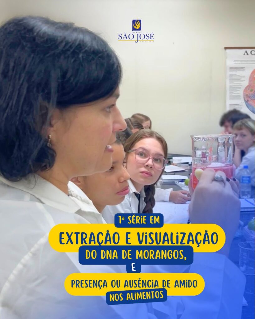 Teste de amido com iodo e a extração de DNA de morangos – 1ª série do Ensino Médio