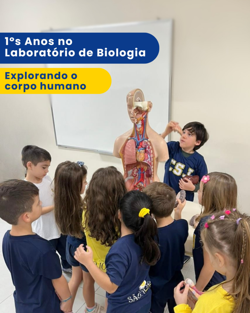 1ºs anos seguem explorando o corpo humano