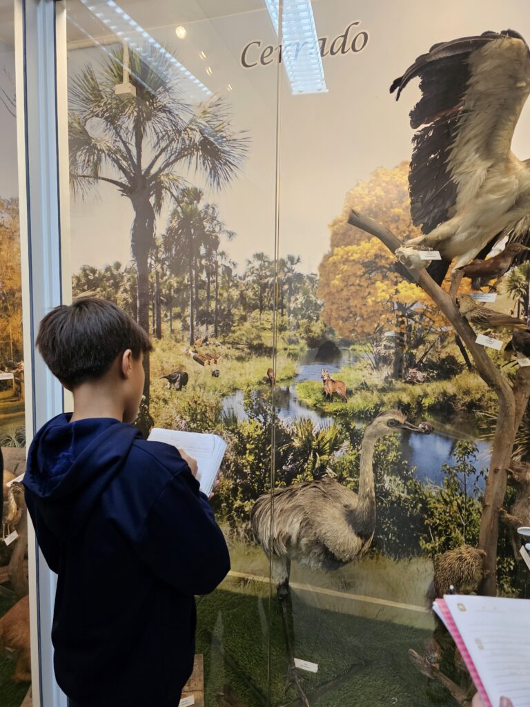 Museu de Ciências Naturais – 7ºs anos