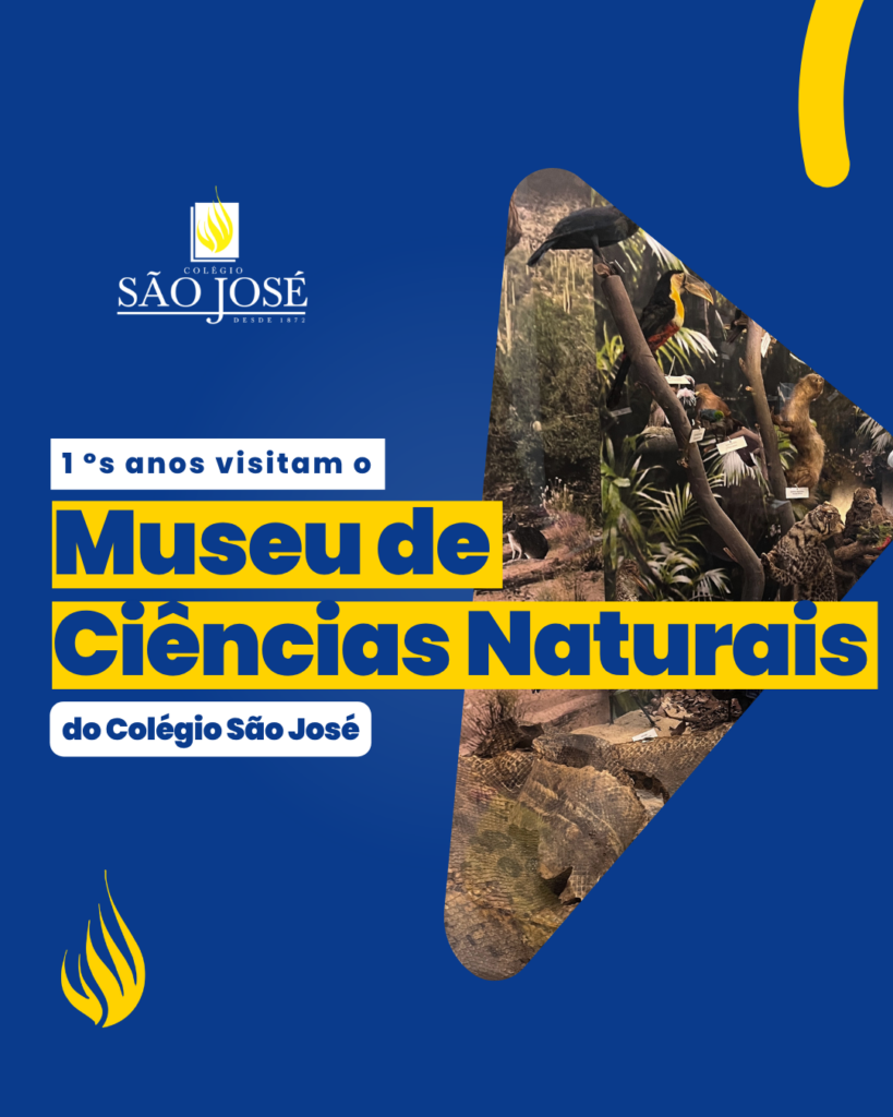 1º anos visitaram o Museu de Ciências Naturais