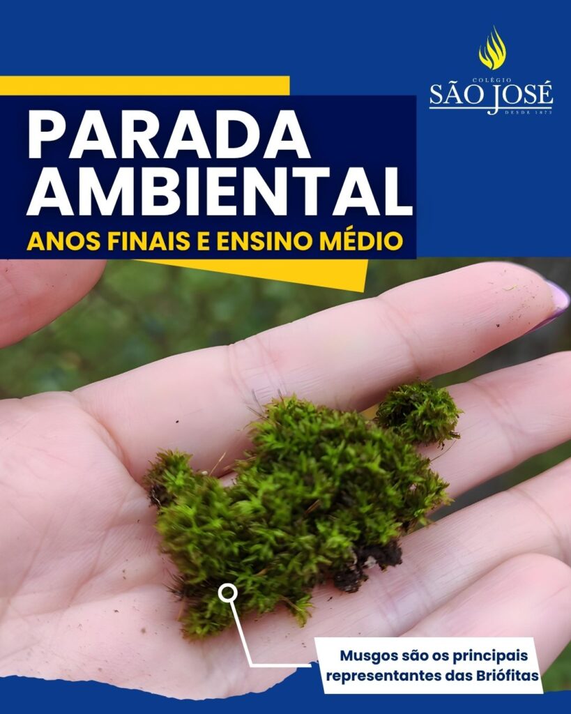 Parada Ambiental | Anos Finais e Ensino Médio