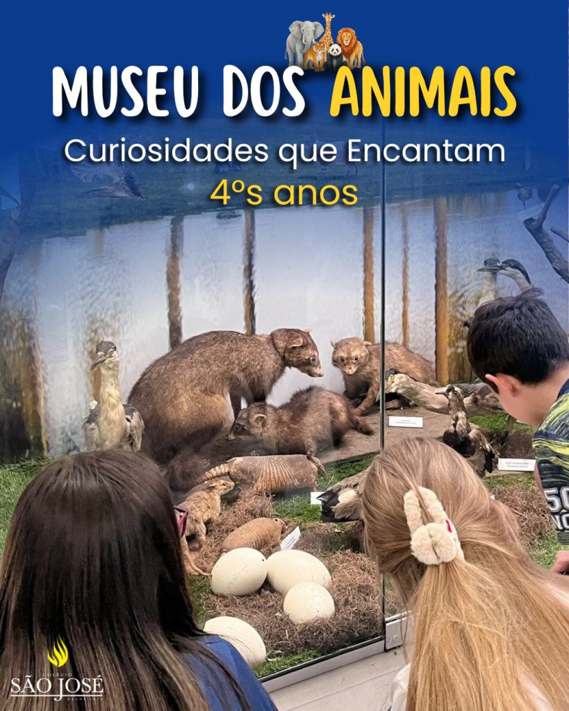 Museu dos Animais | 4°s anos
